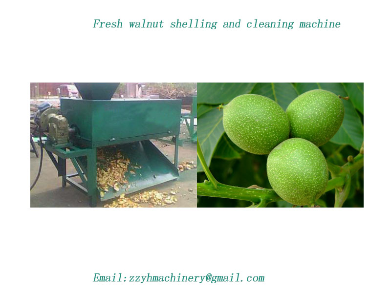 Fresh walnut shelling and cleaning machine 