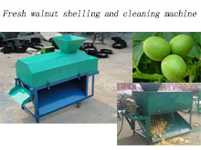 Fresh walnut shelling and cleaning machine 